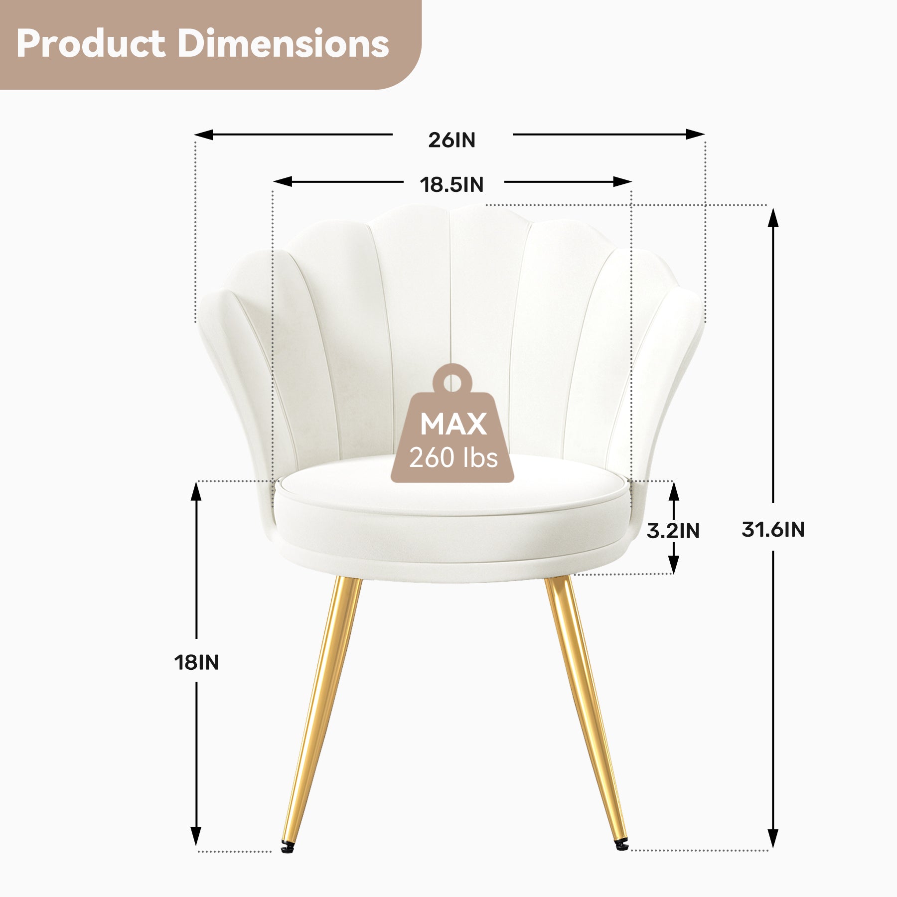 Daluvenix Velvet Accent Chair with Gold Metal Legs, Shell Design Vanity Makeup Chair for Living room, Modern Upholstered Guest Chair