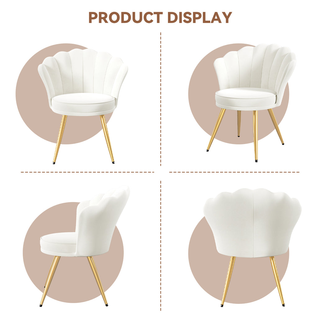 Daluvenix Velvet Accent Chair with Gold Metal Legs, Shell Design Vanity Makeup Chair for Living room, Modern Upholstered Guest Chair
