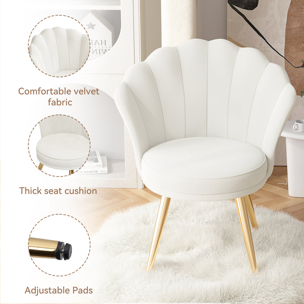 Daluvenix Velvet Accent Chair with Gold Metal Legs, Shell Design Vanity Makeup Chair for Living room, Modern Upholstered Guest Chair
